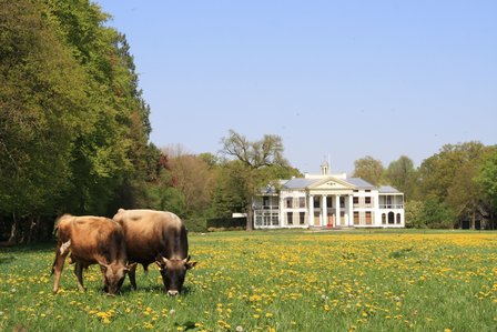 Ochtend