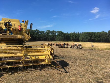Dag met landgoed lunch en borrel