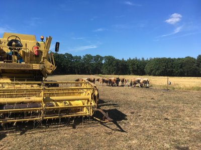 Dag met landgoed lunch en borrel